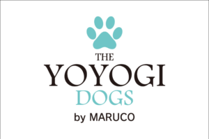 THE YOYOGI DOGS 公式サイト制作